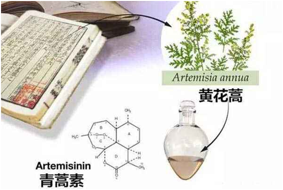 米兰平台,米兰平台（中国）：向中医药看齐，与世界共享中医药文化(图1)